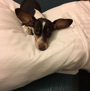 Meet your Posher, Kelly